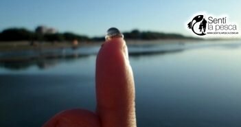 170127 TAPIOCAS EN LA COSTA BONAERENSE desta