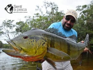 170130 TUCUNARES DE COLOMBIA