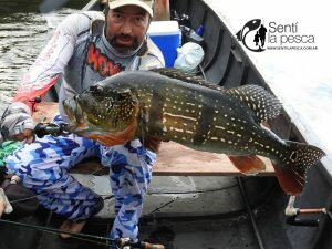 170130 TUCUNARES DE COLOMBIA12