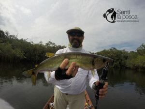 170130 TUCUNARES DE COLOMBIA13
