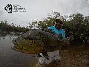 170130 TUCUNARES DE COLOMBIA18