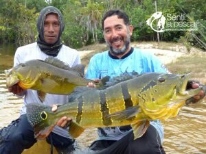 170130 TUCUNARES DE COLOMBIA2