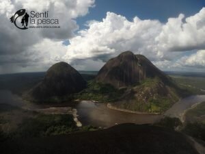 170130 TUCUNARES DE COLOMBIAa