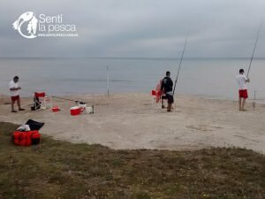 170201 DESPEDIMOS EL AÑO4