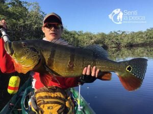 170328 RIO MATAVEN COLOMBIA EXTREMEFISHING (6)