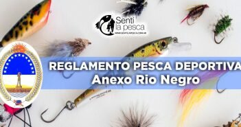 reglamento patagonia rio negro