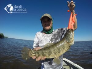 170201 DORADOS EN VILLA PARANACITO10