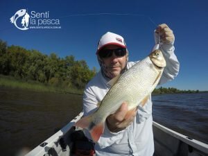 170201 DORADOS EN VILLA PARANACITO12