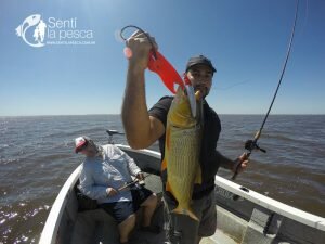 170201 DORADOS EN VILLA PARANACITO13