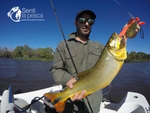 170201 DORADOS EN VILLA PARANACITO23