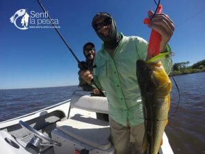 170201 DORADOS EN VILLA PARANACITO7
