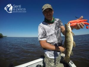 170201 DORADOS EN VILLA PARANACITO8