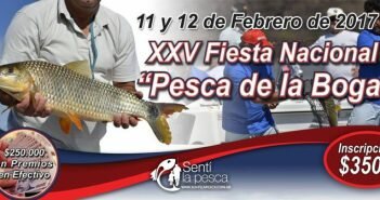 170206 CONTINUAN PREPARATIVOS XXV BOGA dest