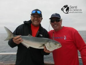 170206 EMBARCADOS EN MDQ