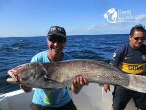 170206 EMBARCADOS EN MDQ1