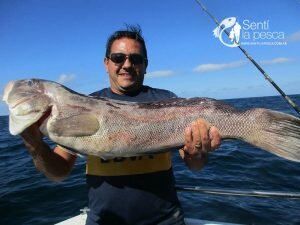 170206 EMBARCADOS EN MDQ2