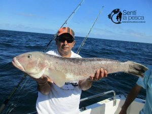 170206 EMBARCADOS EN MDQ4