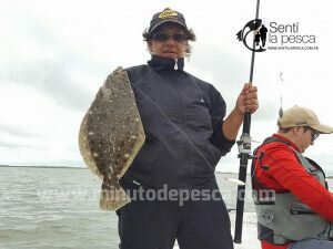 170206 LISAS Y CHATOS EN ALBUFERA1