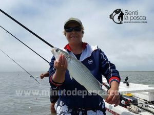170206 LISAS Y CHATOS EN ALBUFERA2