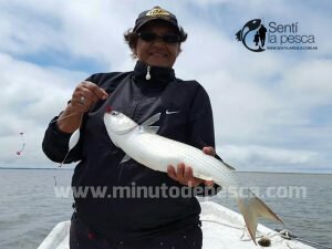 170206 LISAS Y CHATOS EN ALBUFERA5