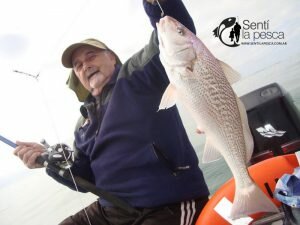 170206 PIQUE EN ALBUFERA EMBARCADOS