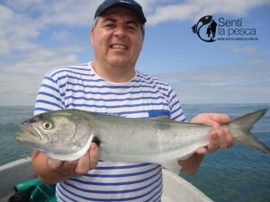 170206 PIQUE EN ALBUFERA EMBARCADOS3