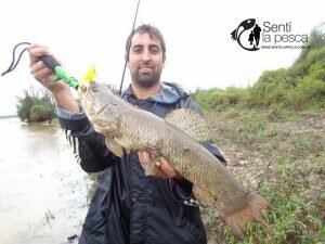 170206 TARUS DEL PANTANO ROSARINO10