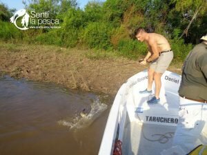 170206 TARUS DEL PANTANO ROSARINO3