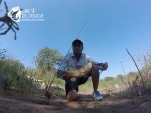 170207 PESCA EN CORDOBA3