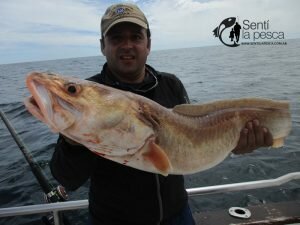 170213 EMBARCADOS EN MAR DEL PLATA10