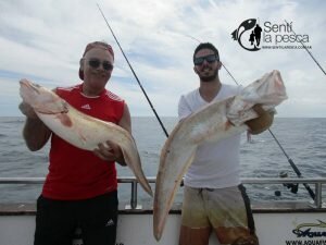 170213 EMBARCADOS EN MAR DEL PLATA11