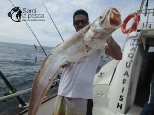 170213 EMBARCADOS EN MAR DEL PLATA4
