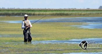170213 PESCA EN VENADO TUERTO dest