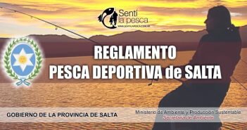 REGLAMENTO DE SALTA dest