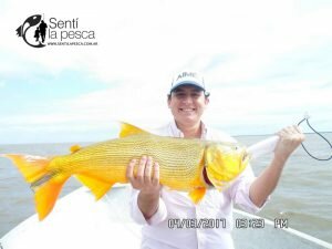 170306 EMBARCADOS EN VILLA PARANACITO10