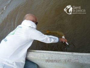 170306 EMBARCADOS EN VILLA PARANACITO12