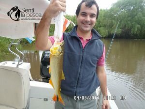 170306 EMBARCADOS EN VILLA PARANACITO2