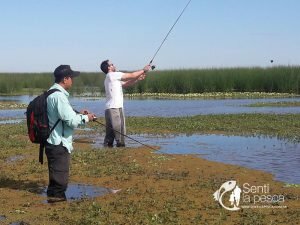 170313 ASI ES LA PESCA (10)