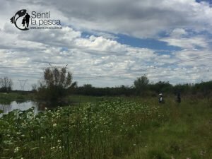 170313 ASI ES LA PESCA (2)