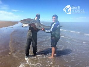 170313 PESCA DE TIBURON