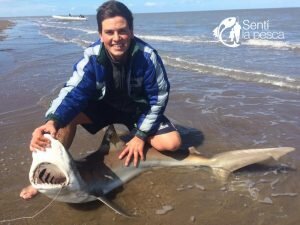 170313 PESCA DE TIBURON1