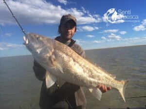 170313 PESCA DE TIBURON2