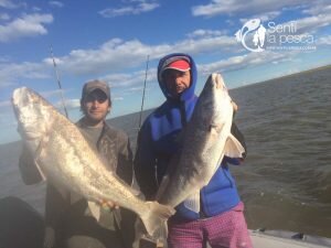170313 PESCA DE TIBURON3