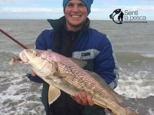170313 PESCA DE TIBURON5