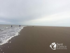 170313 PESCA DE TIBURON6