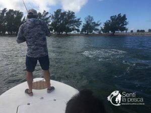 170317 PESCA EN MIAMI10
