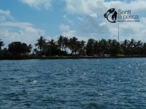 170317 PESCA EN MIAMI3
