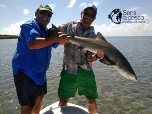 170317 PESCA EN MIAMI4