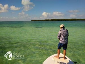 170317 PESCA EN MIAMI7