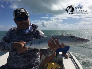 170317 PESCA EN MIAMI9